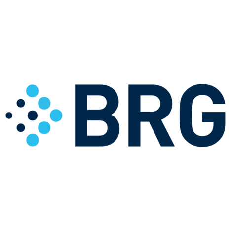 Logo of BRG